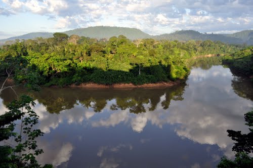 Lei declara Organização da Sociedade Civil da Biodiversidade como entidade de utilidade pública