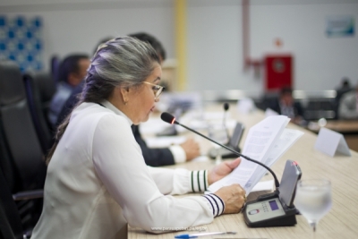 Ciza e Braz pedem benefícios para escola municipal de música e Casa da Cultura