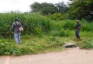 Vereador Zacarias sugere criação de projeto de lei que regulamente limpeza de terrenos particulares