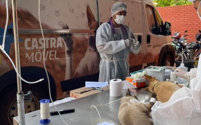 Zé do Bode cobra informações sobre Centro de Zoonozes de Parauapebas