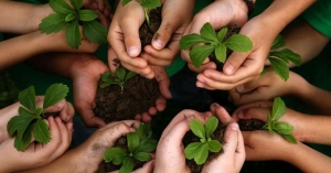 Parlamentares aprovam criação do Programa de Sustentabilidade Ambiental na Educação