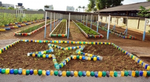 Eliene e Miquinha sugerem implantação de programa para cultivo de hortas em escolas municipais